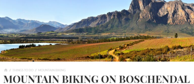 Boschendal MTB Trails