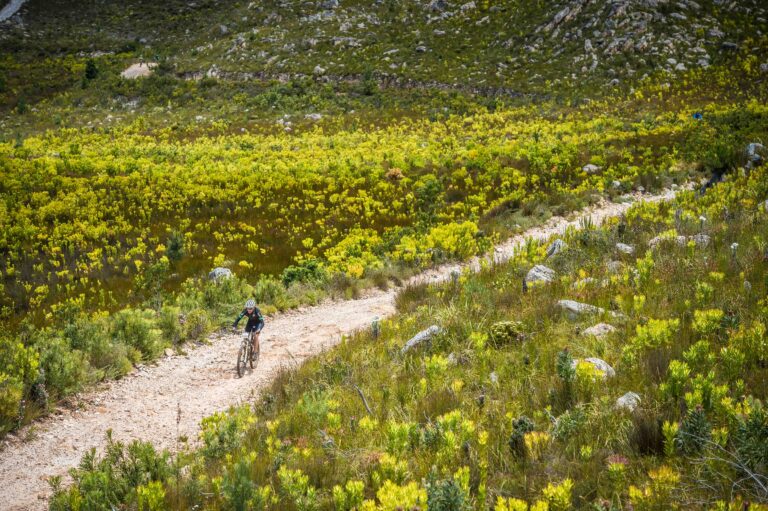 FNB W2W MTB Adventure kicks off at Lourensford Wine Estate