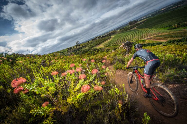 Play Day continues to impress at FNB W2W MTB Ride