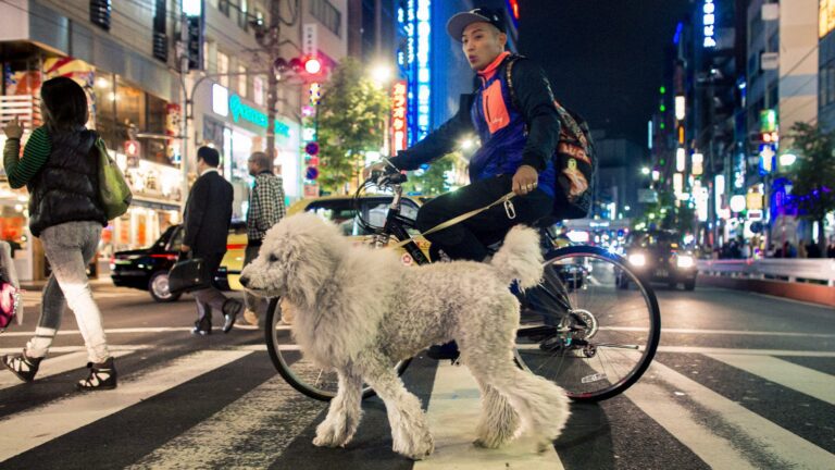 Cyclists all over the world are consumed by one question, and it’s not about speed or safety