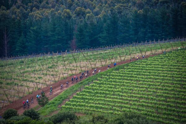 FNB Wines2Whales set to kick off with a rewarding Stage One