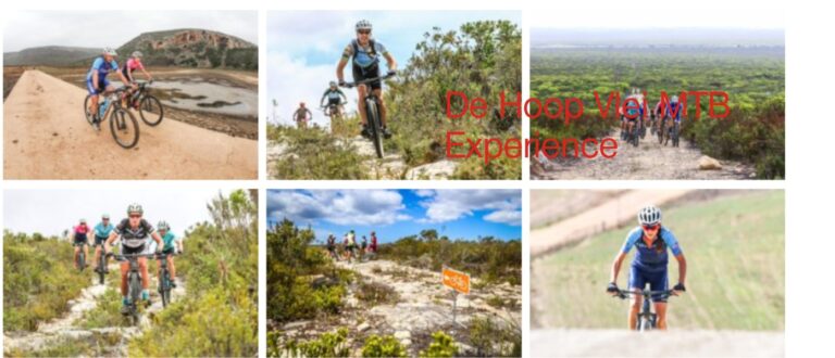 De Hoop Vlei MTB Experience