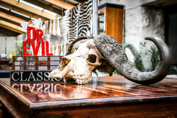 Dr Evil Classic