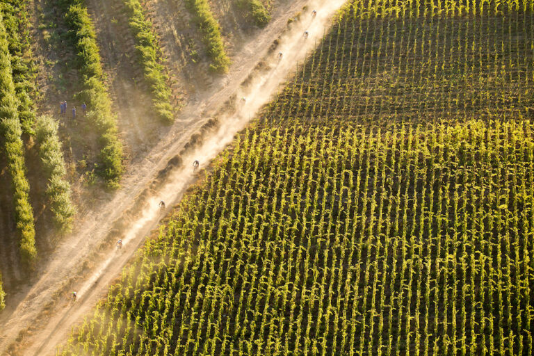 Nederburg, Hunter’s Edge join Absa Cape Epic sponsor family