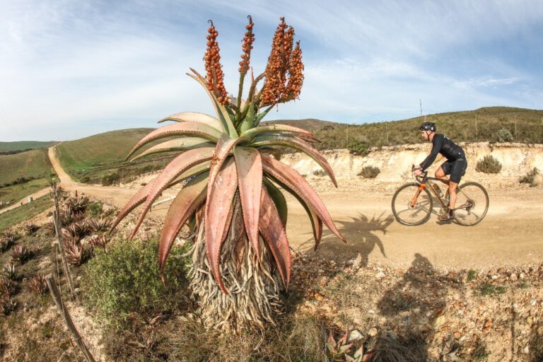 Entries Open for 2019 Chas Everitt Around the Pot, Overberg 100-Miler