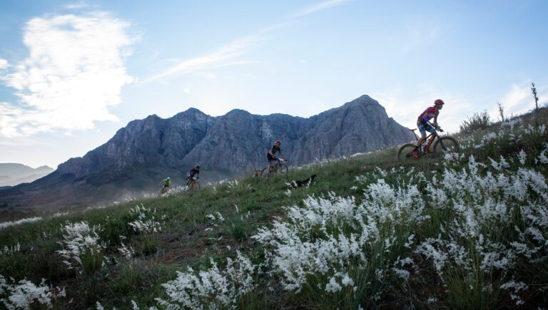 cape epic