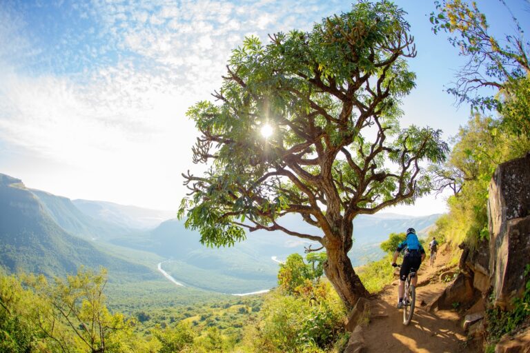 sani2c