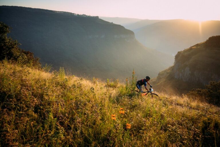Sani2c