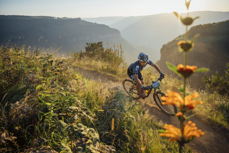sani2c