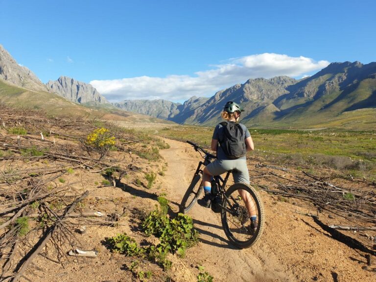biking the bosch