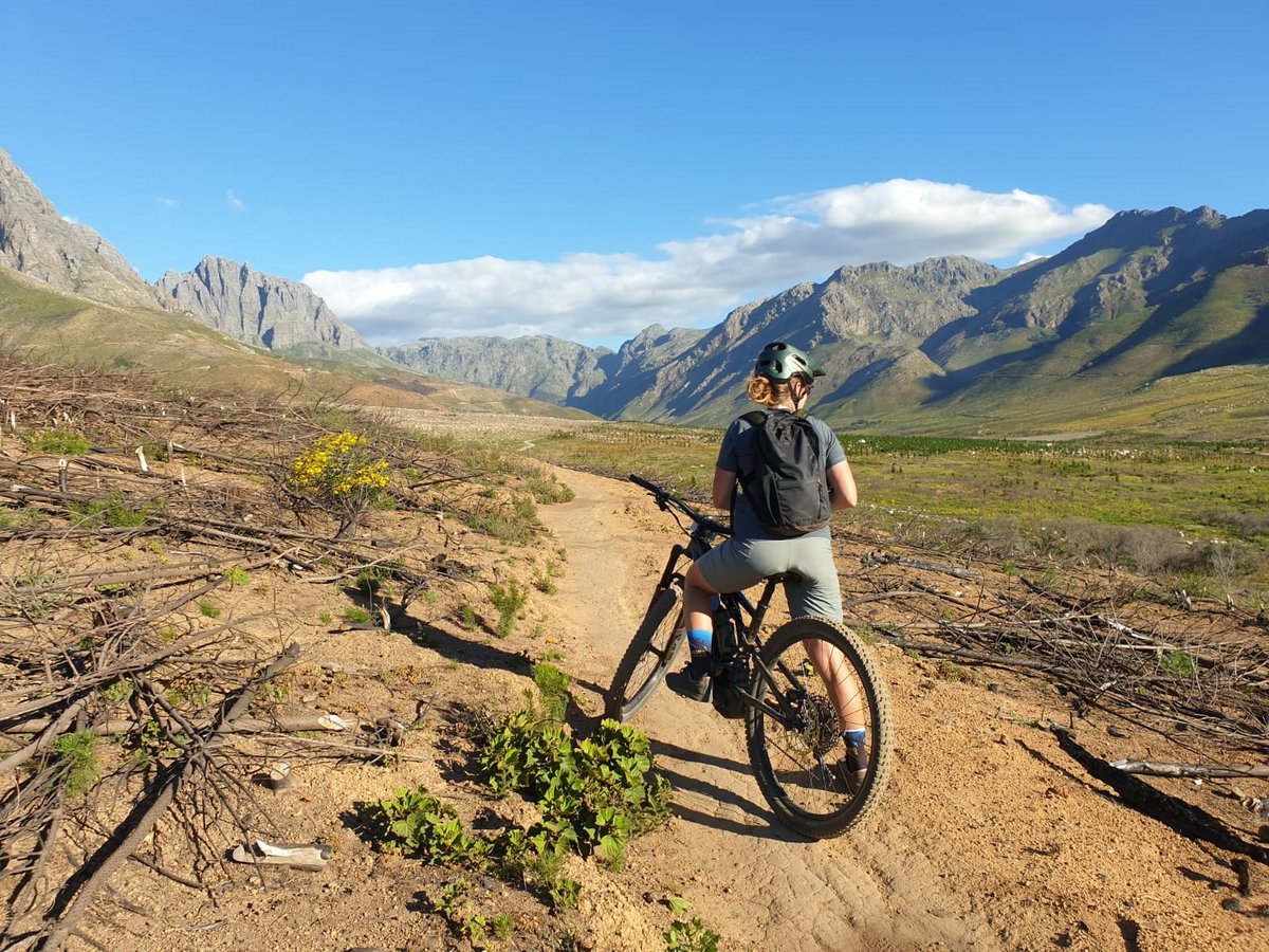 biking the bosch