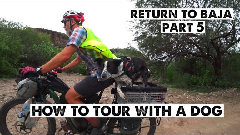 Bikepacking with your Dog meet John and Mira
