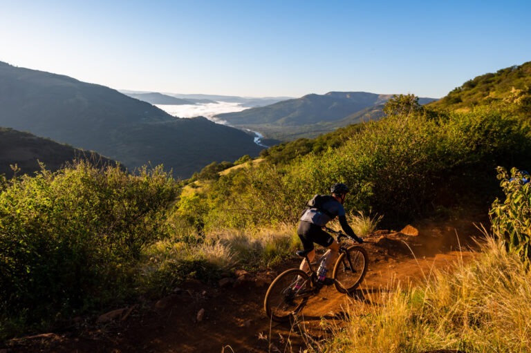 sani2c