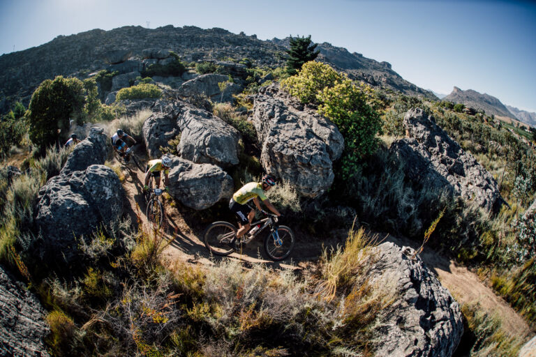 Raising a Glass to New Partnerships: Perdeberg Wines x Dryland  