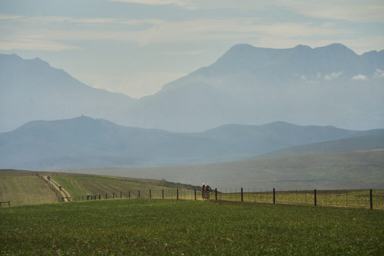 cape epic