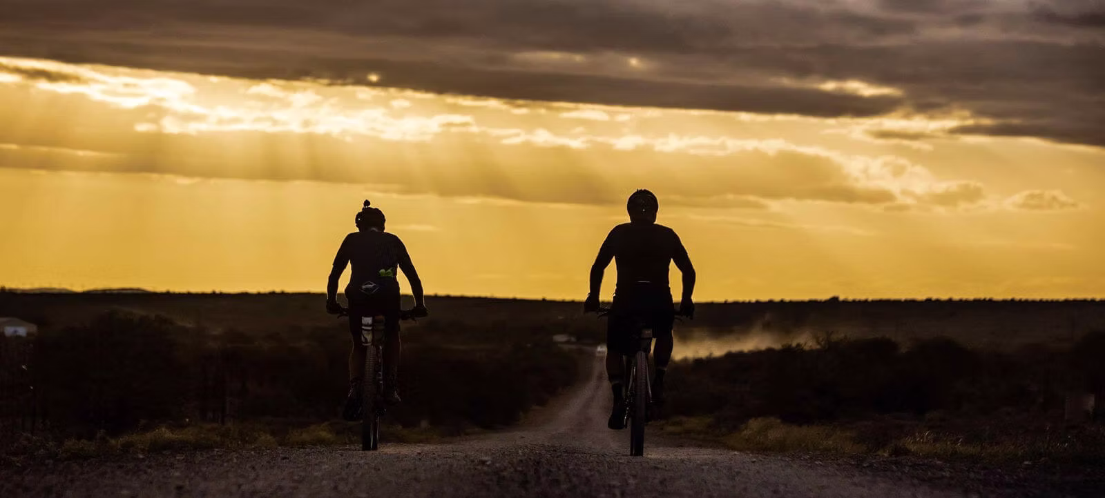 Race Across South Africa : A Journey Into the Wild Soul of a Nation
